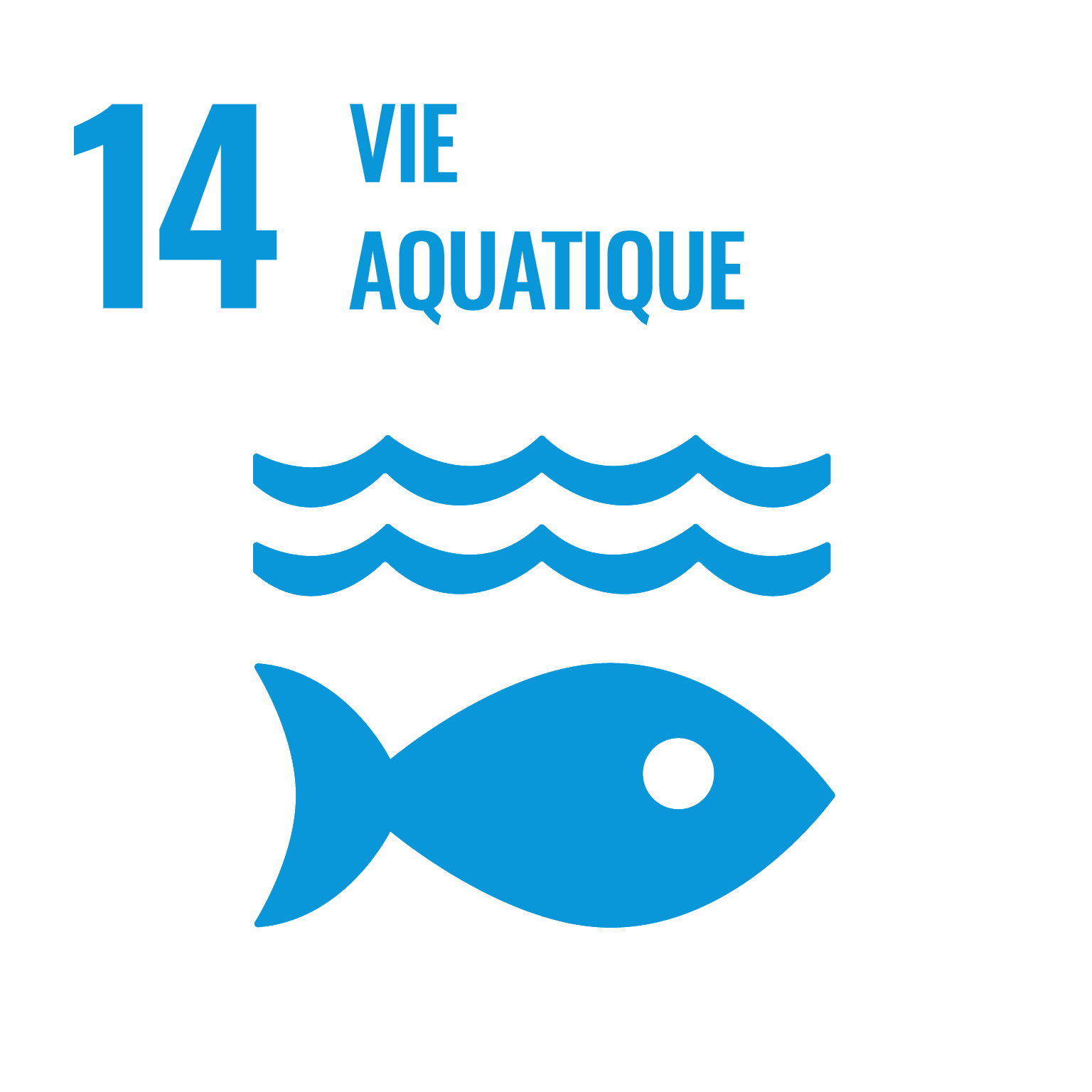 Vie aquatique