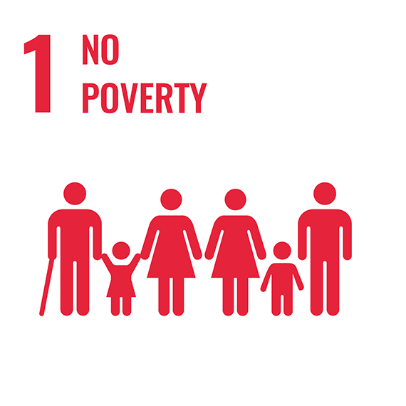 No poverty