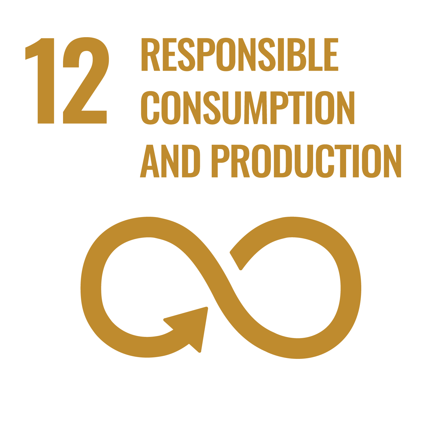 Responsible consumption production
