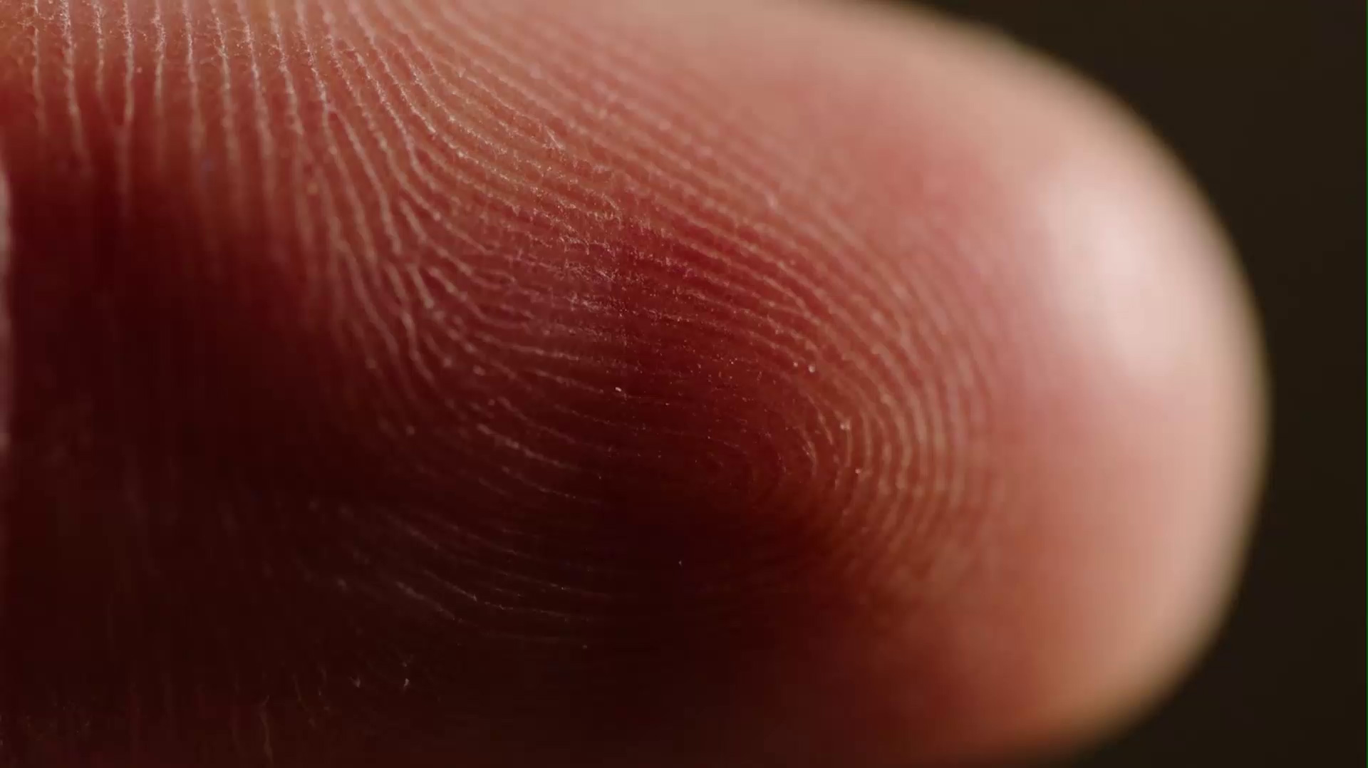 Leader in biometrics and cryptography | IDEMIA