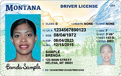 Montana Driver License