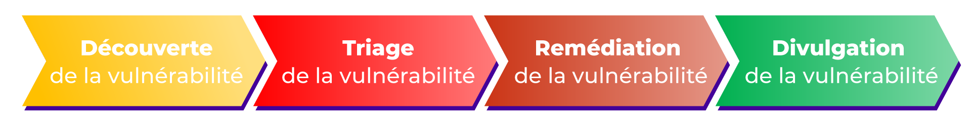 Découverte, Triage, Remédiation et Divulgation
