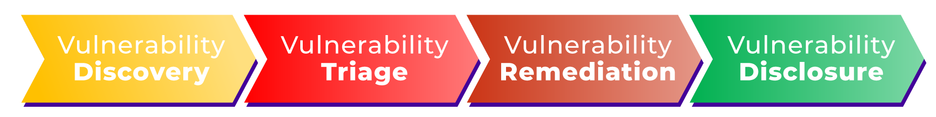 Discovery, Triage, Remediation and Disclosure