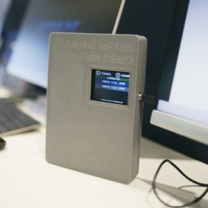 Interoperable IoT Connectivity for the Smart Energy Ecosystem