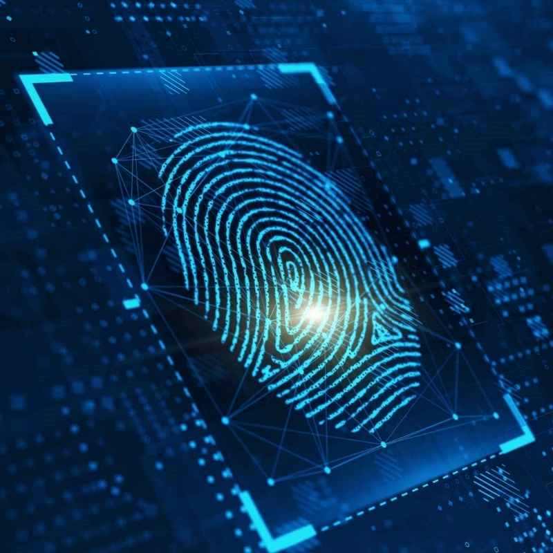 Justice & Public Safety